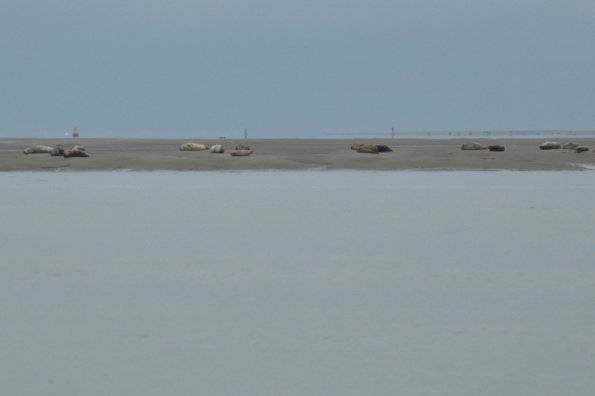 5 Le Hourdel (3)